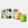 LAFCO Limited Edition Herbal Spring Gift Set 6.5 OZ 2 LAFCO Limited Edition Herbal Spring Gift Set 6.5 OZ -Lafco HHGS2xCHAMOMILELAVNEDERROSEMARYEUCALYPTUSxPrimary febceefa 6940 4462 99e1 ca597723fe26