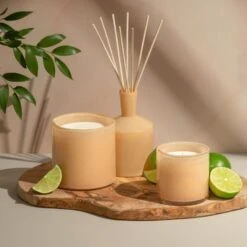 Lafco Veranda Candle – Paloma Melon – 6.5oz 11 Lafco Veranda Candle – Paloma Melon – 6.5oz -Lafco Paloma Melon 960x960 d0e5741f 7956 4c48 8ffe a9d2fcc23935