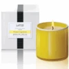 Lafco Signature Candle – White Grapefruit – 6.5oz 1 Lafco Signature Candle – White Grapefruit – 6.5oz -Lafco ScreenShot2022 02 14at9.44.37PM
