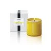 LAFCO - Cabana (White Grapefruit) Classic Candle -Lafco cabana classic candle