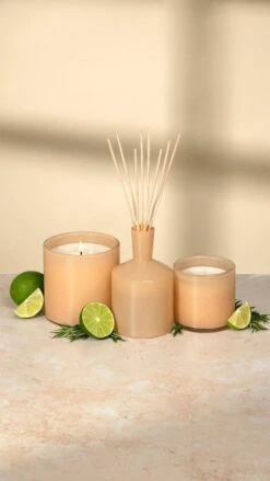 LAFCO - Veranda (Paloma Melon) Small Diffuser -Lafco dpm 1 007 1 1