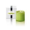 LAFCO - Office (Rosemary Eucalyptus) Classic Candle -Lafco office classic candle